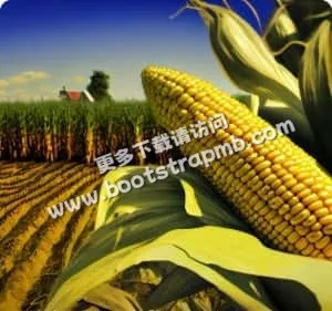 技术驱动，流畅体验 - pg电子广东站