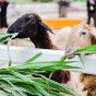 搜索 - pg电子广东站